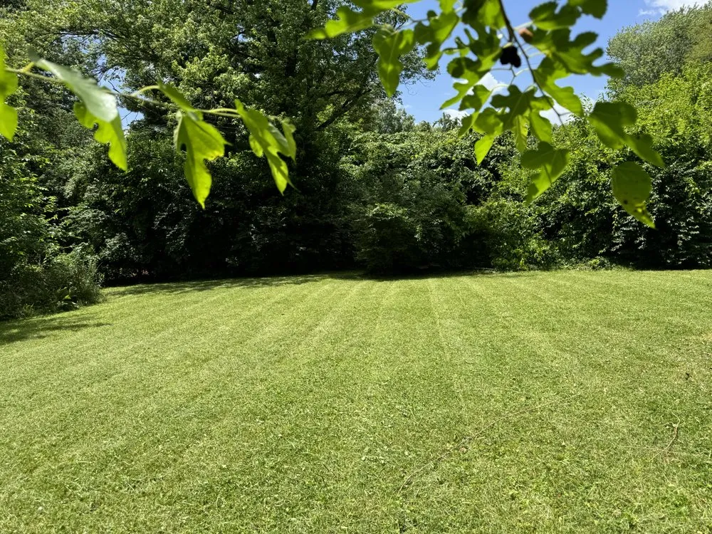 Affordable yard cleanup service for homes in Indianapolis, IN by Cecilia Scapes