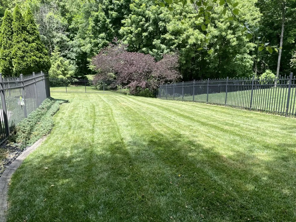 Custom landscape installation in Indianapolis, IN by Cecilia Scapes