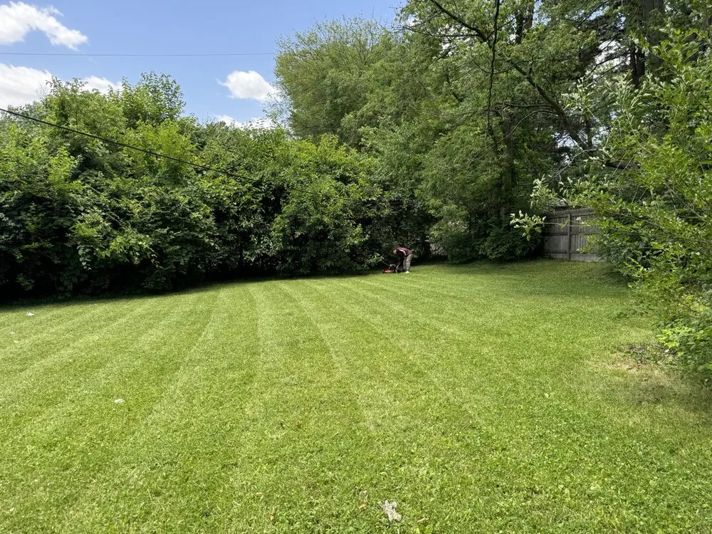 Affordable garden landscaping for homes across Indianapolis, IN - Cecilia Scapes