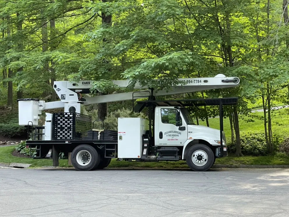 Custom yard cleanup service for residential properties across Danbury, CT - Ceciliano’s Landscaping & Tree Removal