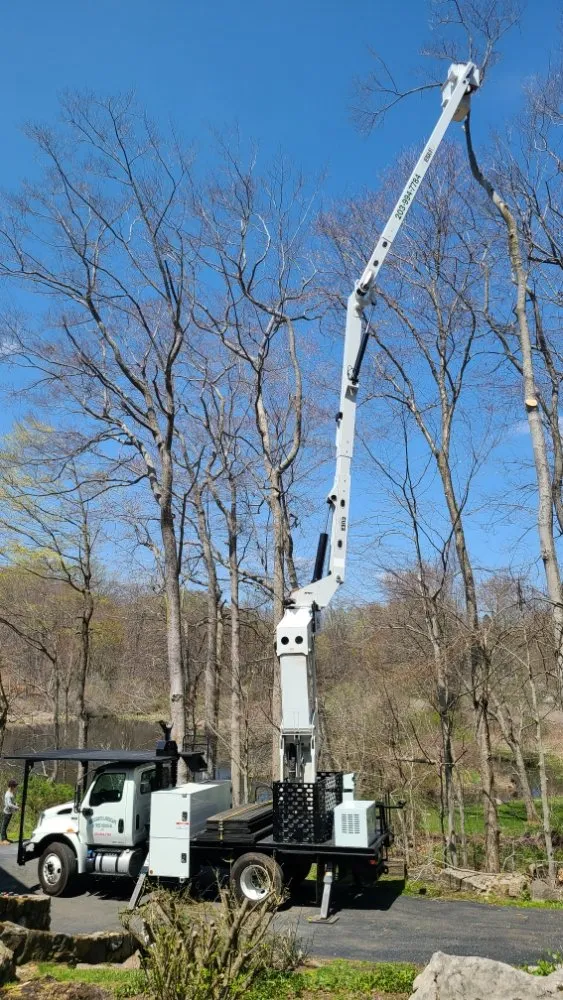 Expert garden landscaping in Danbury, CT - Ceciliano’s Landscaping & Tree Removal