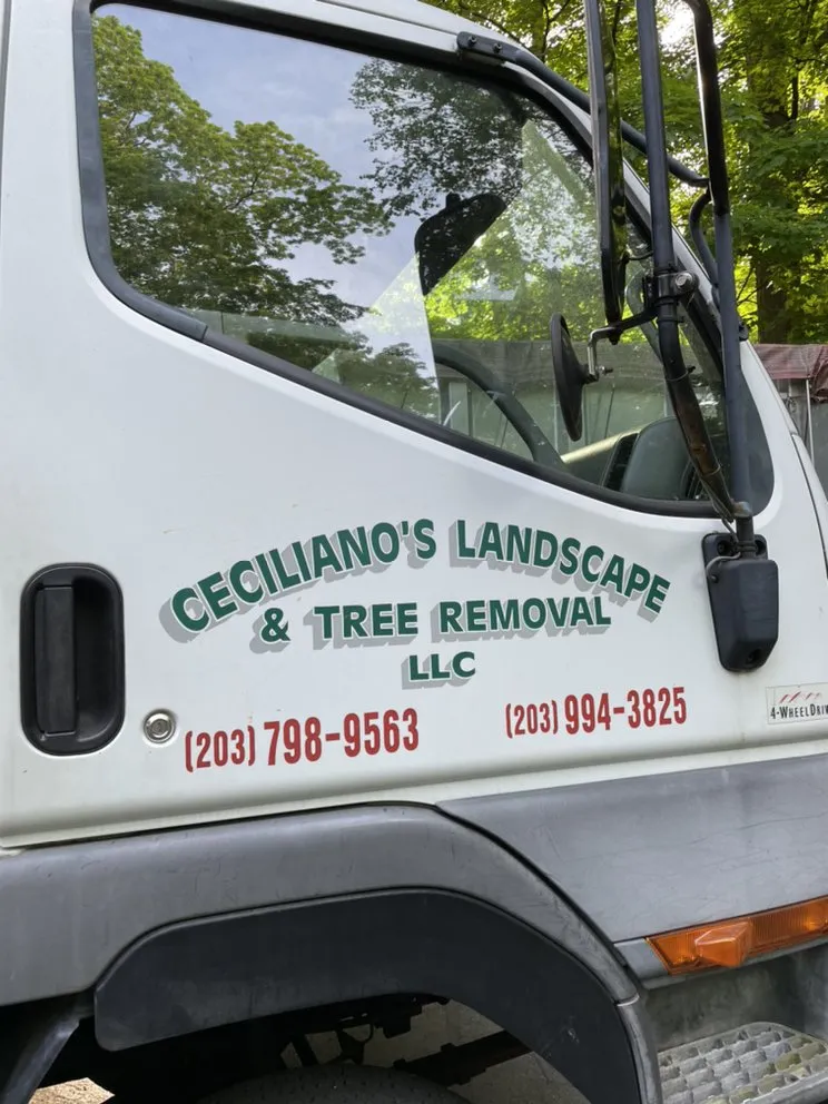 Top-rated lawn mowing service in Danbury, CT by Ceciliano’s Landscaping & Tree Removal