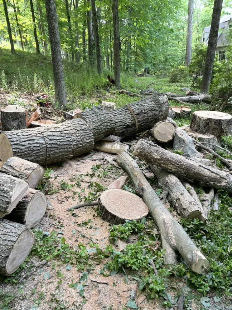 Reliable landscaping services in Danbury, CT by Ceciliano’s Landscaping & Tree Removal