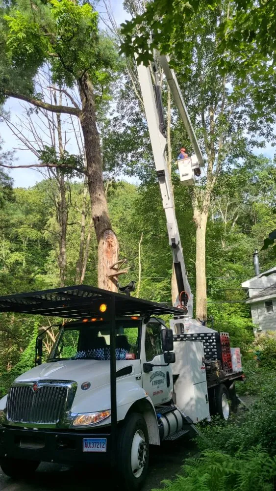 Local yard maintenance in Danbury, CT by Ceciliano’s Landscaping & Tree Removal