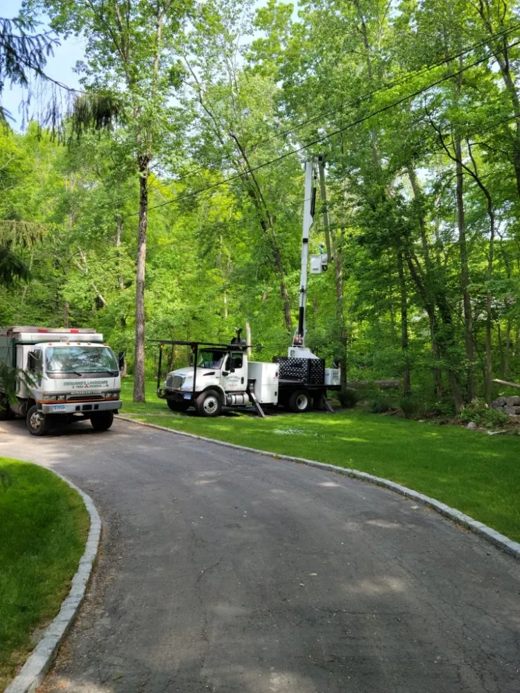 Custom landscaping services in Danbury, CT by Ceciliano’s Landscaping & Tree Removal