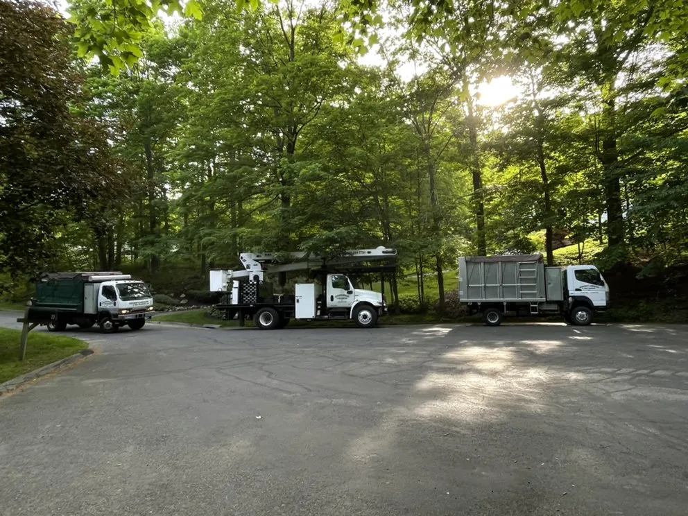 Expert landscape design near you across Danbury, CT - Ceciliano’s Landscaping & Tree Removal