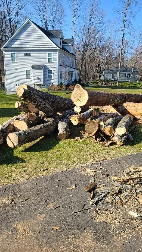 Top-rated yard maintenance in Danbury, CT - Ceciliano’s Landscaping & Tree Removal