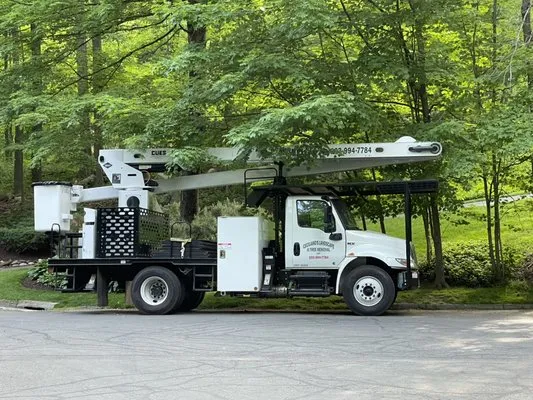 Ceciliano’s Landscaping & Tree Removal Logo