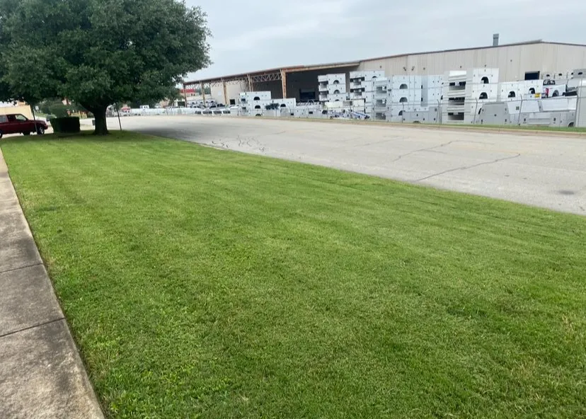 Reliable landscape installation experts serving Fort Worth, TX - Ceciliano’s Landscaping