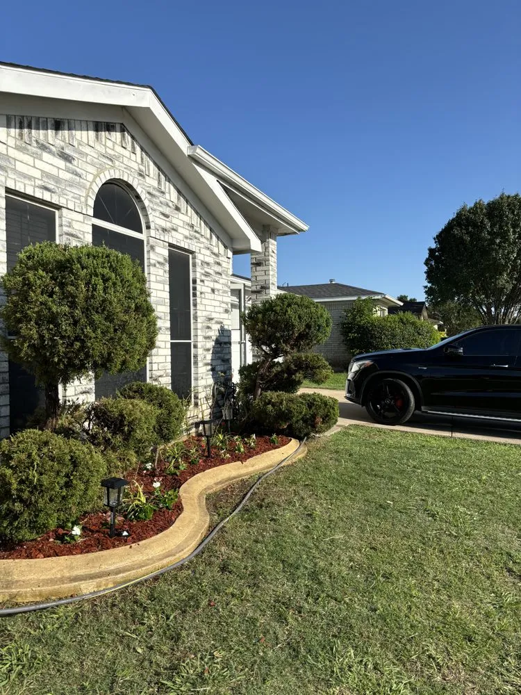Expert yard maintenance for year-round maintenance in Fort Worth, TX by Ceciliano’s Landscaping