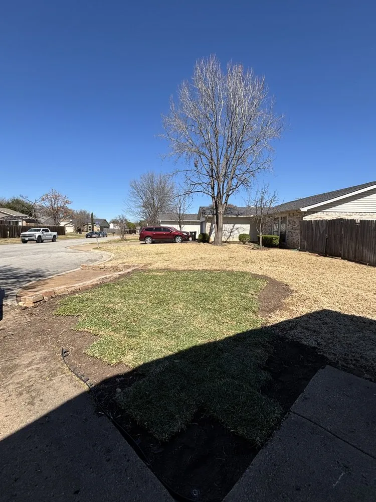 Affordable yard cleanup service experts serving Fort Worth, TX - Ceciliano’s Landscaping