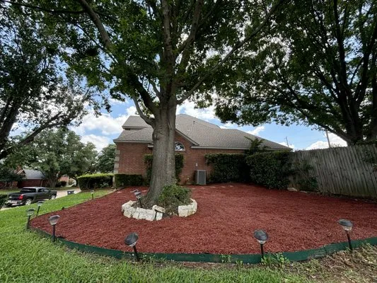 Ceciliano’s Landscaping Logo