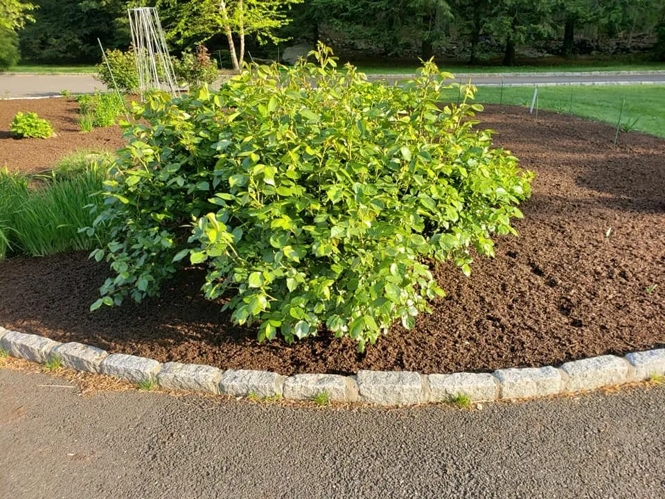 Professional landscape installation for residential properties in Bethel, CT by Ceciliano's Tree Services