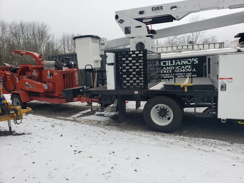 Reliable residential landscaping in Bethel, CT - Ceciliano's Tree Services