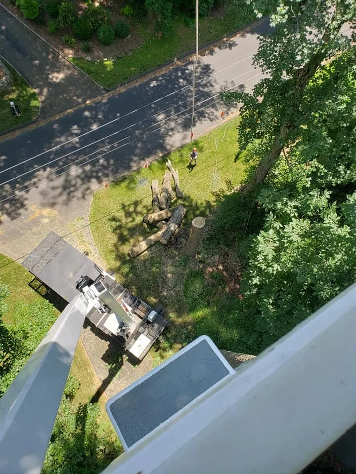 Reliable garden landscaping near you across Bethel, CT - Ceciliano's Tree Services