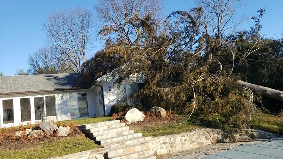 Custom landscape design in Bethel, CT - Ceciliano's Tree Services