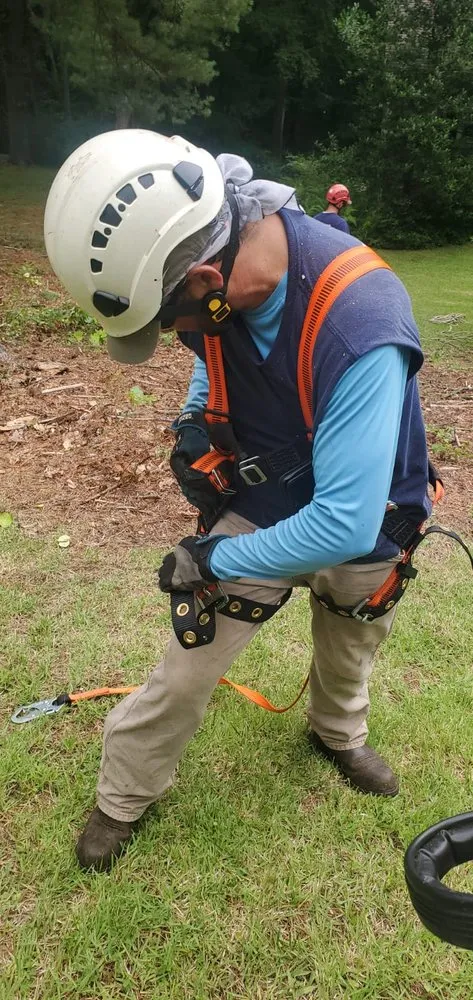 Affordable residential landscaping in Bethel, CT - Ceciliano's Tree Services