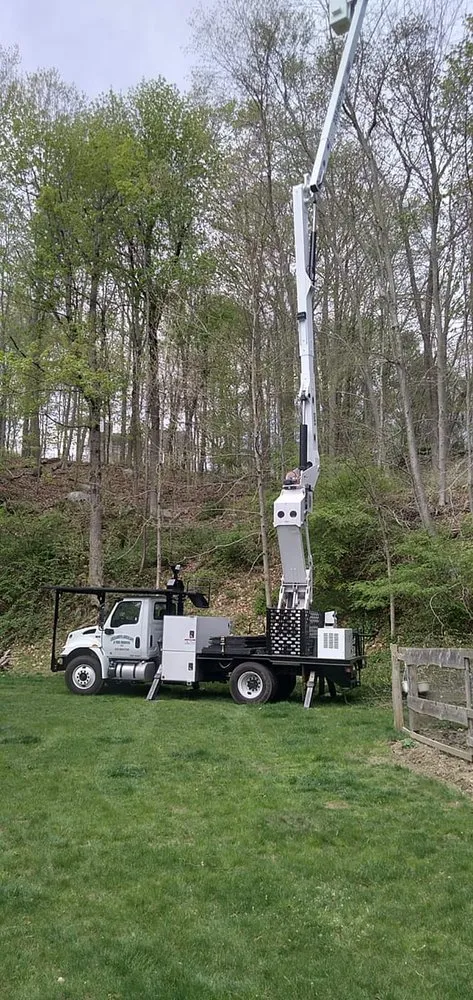 Custom yard maintenance in Bethel, CT by Ceciliano's Tree Services
