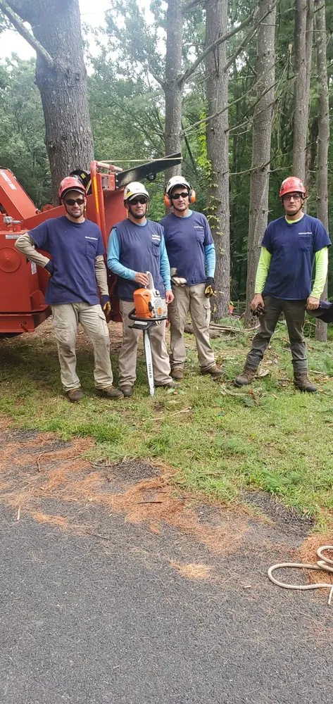 Local landscaping services in Bethel, CT by Ceciliano's Tree Services