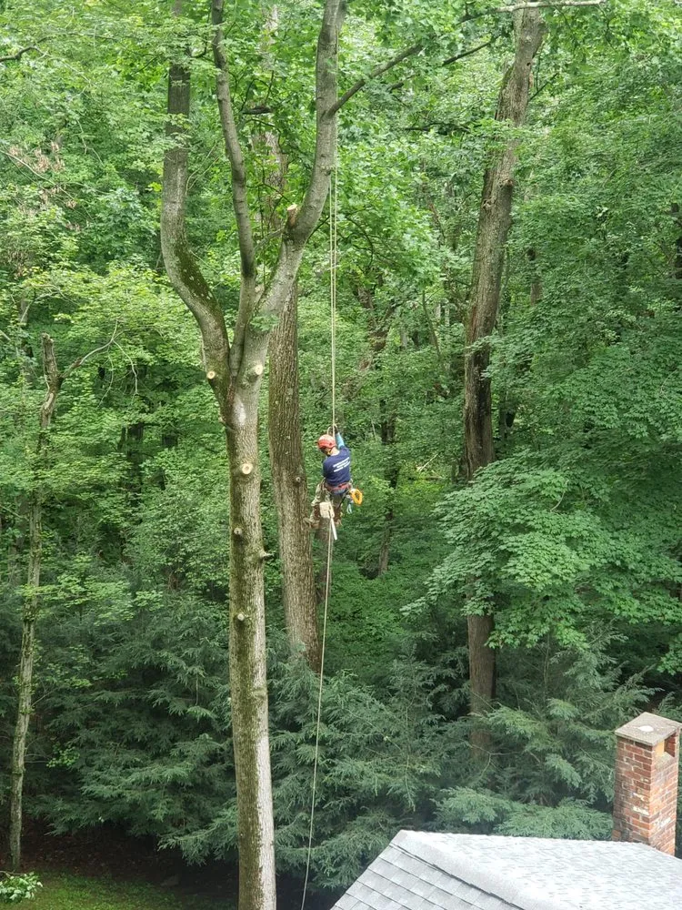 Expert lawn mowing service experts serving Bethel, CT - Ceciliano's Tree Services