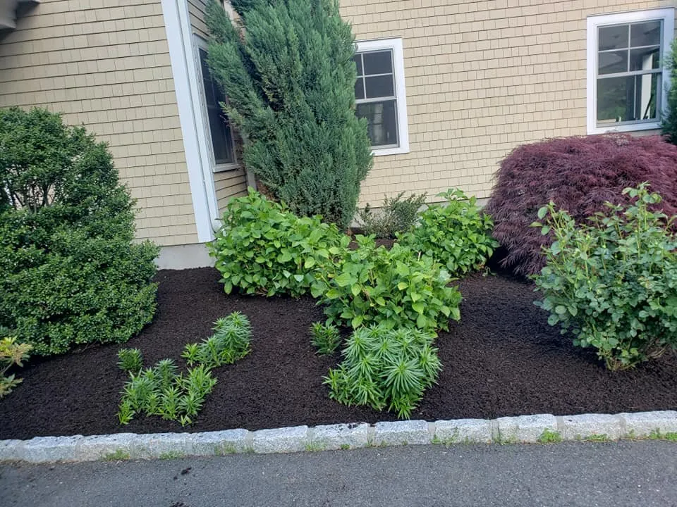 Professional garden landscaping in Bethel, CT by Ceciliano's Tree Services