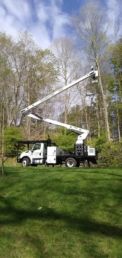 Top-rated landscape design in Bethel, CT - Ceciliano's Tree Services