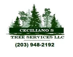 Affordable residential landscaping near you in Bethel, CT by Ceciliano's Tree Services