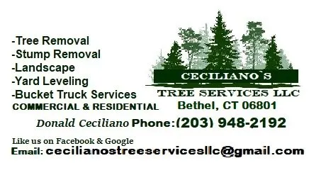 Custom landscaping services experts serving Bethel, CT - Ceciliano's Tree Services