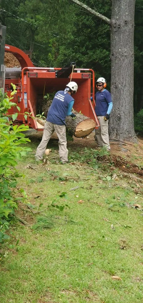 Top-rated landscape installation in Bethel, CT - Ceciliano's Tree Services
