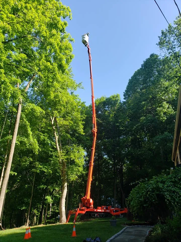 Custom lawn care service for beautiful yards in Bethel, CT by Ceciliano's Tree Services