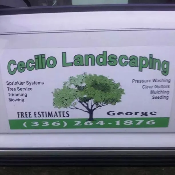 Professional lawn mowing service with custom design in Graham, NC by Cecilio Landscaping