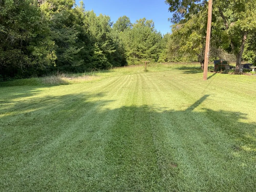 Local landscaping services experts serving Burlington, NC - Cecilio Services