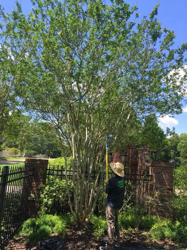 Trusted residential landscaping in Denham Springs, LA by Cecilio's Landscaping Services