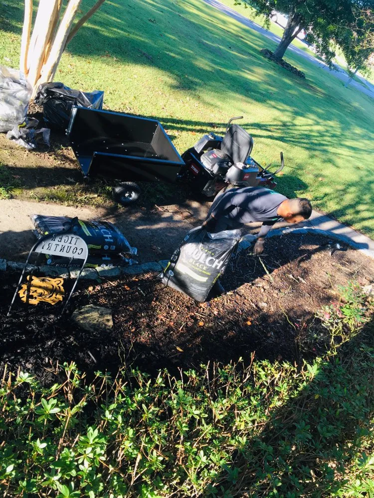 Expert yard cleanup service in Denham Springs, LA - Cecilio's Landscaping Services