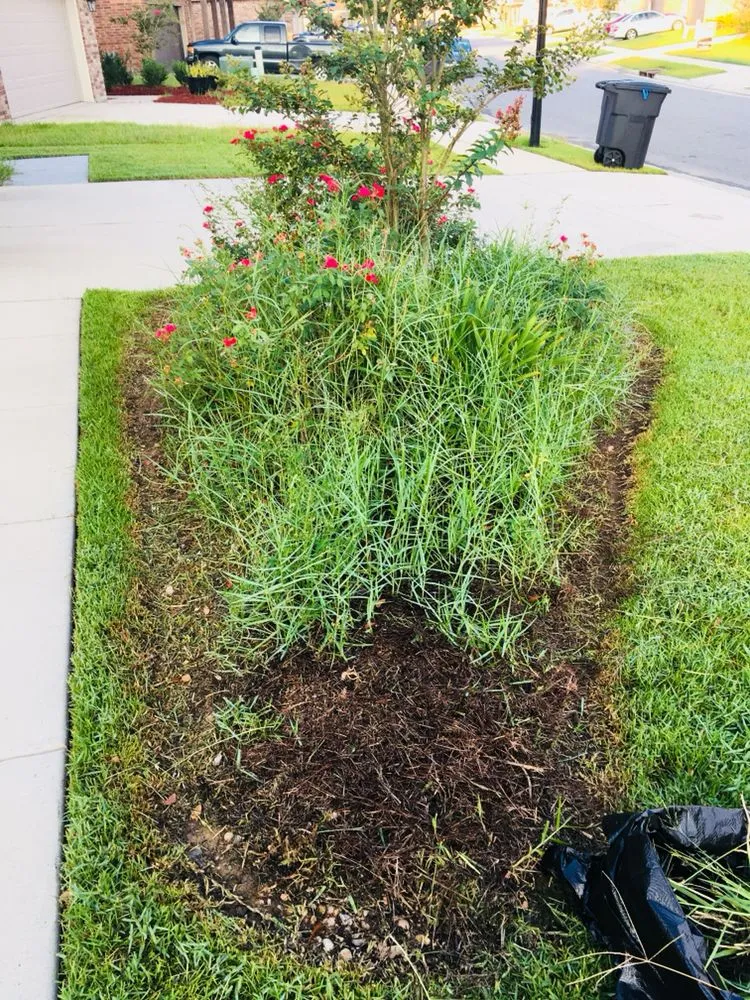 Expert landscape installation with custom design in Denham Springs, LA by Cecilio's Landscaping Services