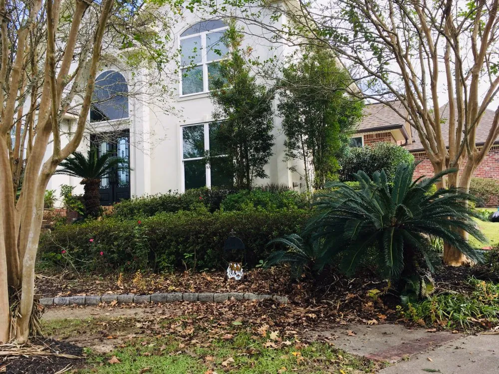 Top-rated outdoor landscaping experts serving Denham Springs, LA - Cecilio's Landscaping Services