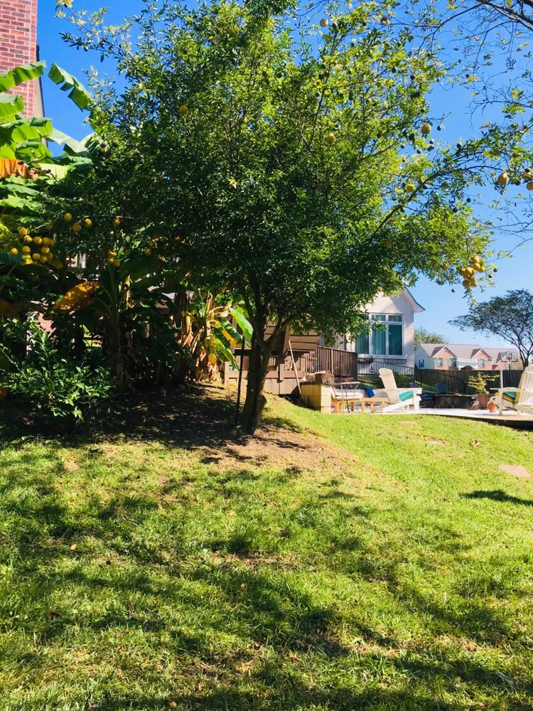 Trusted landscape installation in Denham Springs, LA by Cecilio's Landscaping Services