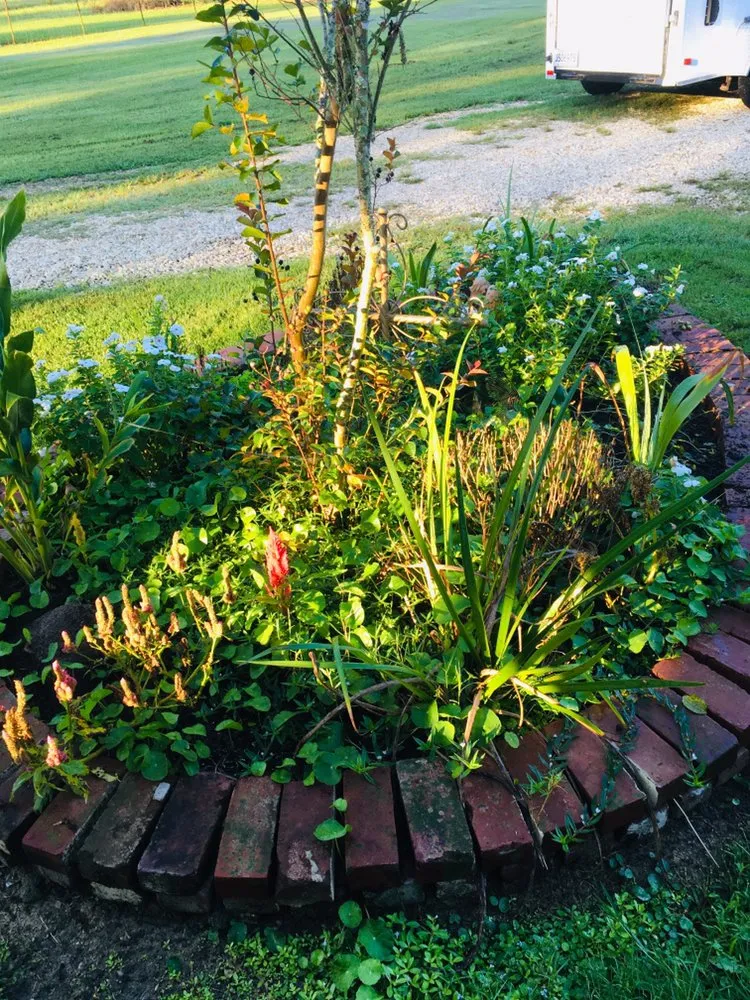 Local lawn care service in Denham Springs, LA by Cecilio's Landscaping Services