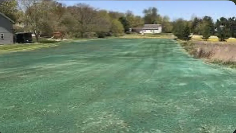 Local landscape installation with custom design across Dayton, OH - Cecil’s Hydroseeding