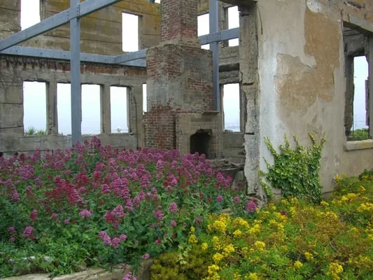 Cecily Hunter Gardens