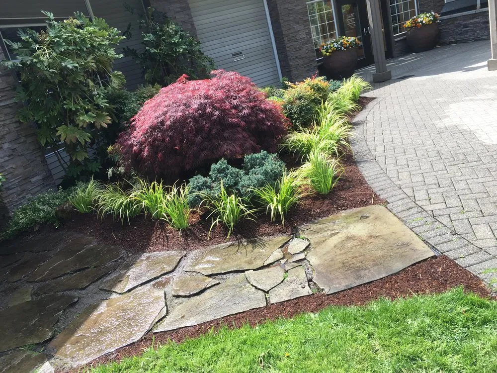 Trusted yard cleanup service in Marysville, WA by Cedano Landscape