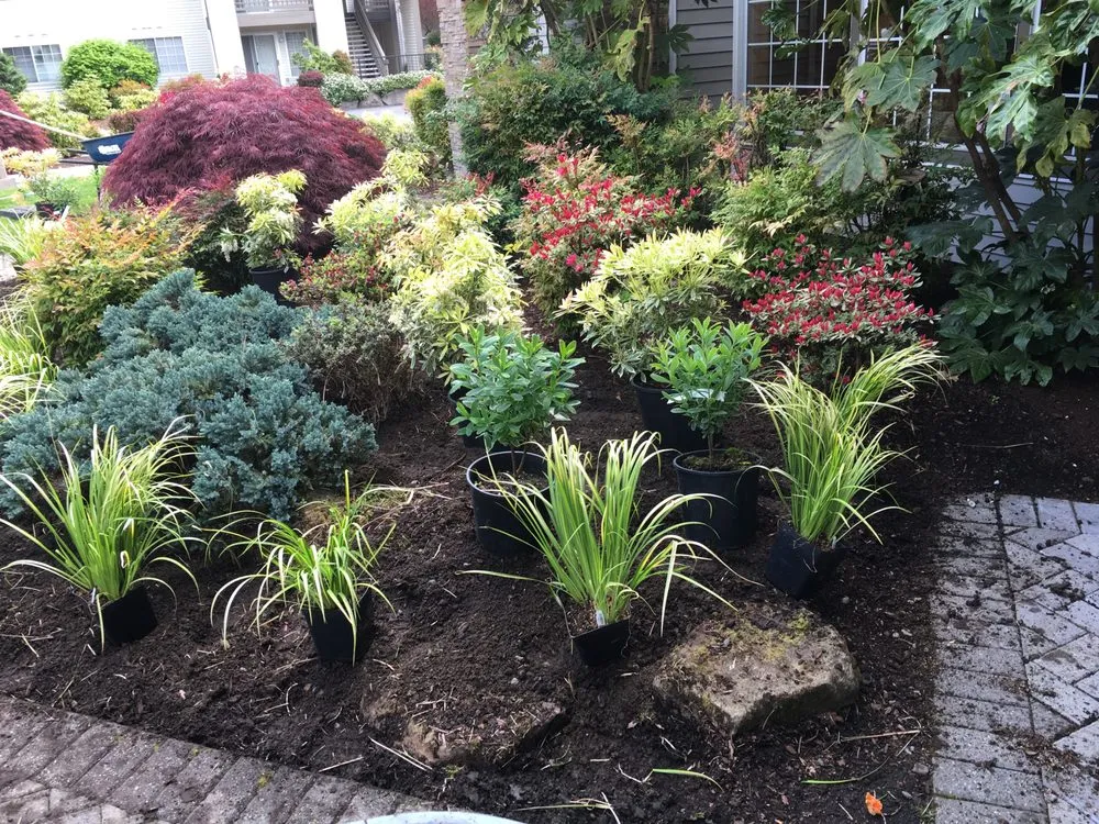 Trusted outdoor landscaping in Marysville, WA by Cedano Landscape