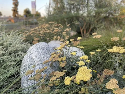 Cedar And Steel Landscapes