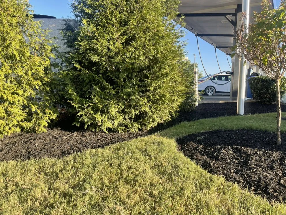 Professional lawn care service for outdoor upgrades across Lebanon, TN - Cedar City Lawn & Landscape