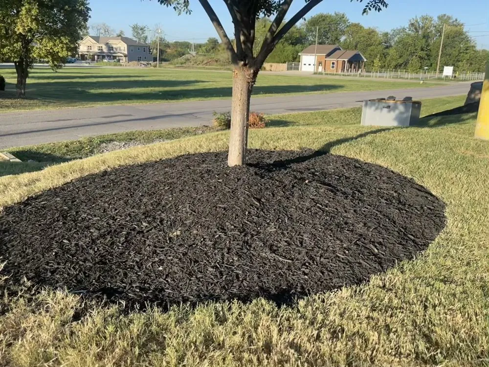 Top-rated landscape installation in Lebanon, TN - Cedar City Lawn & Landscape