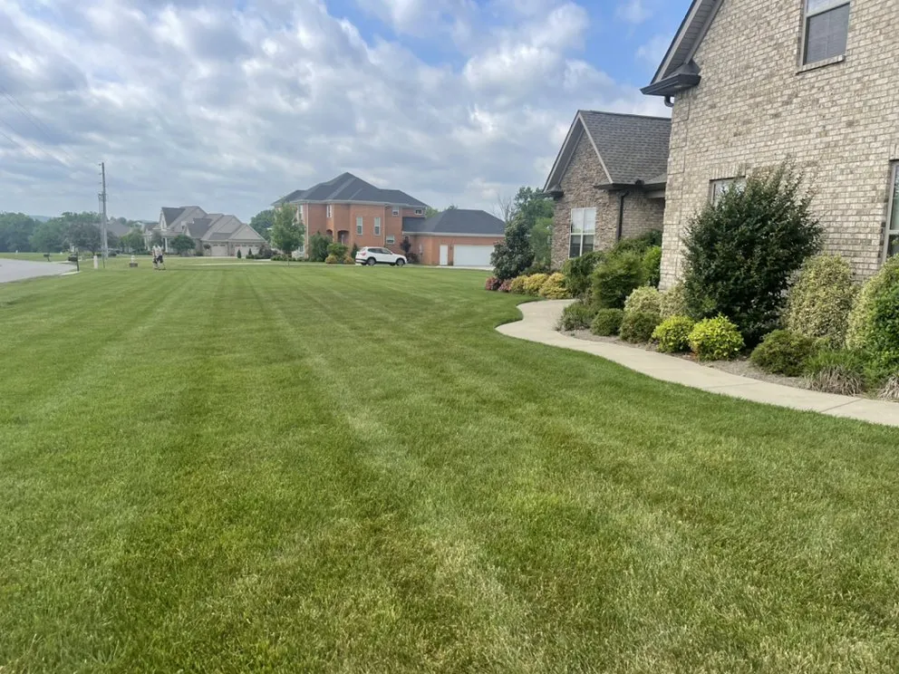 Trusted landscaping services in Lebanon, TN - Cedar City Lawn & Landscape