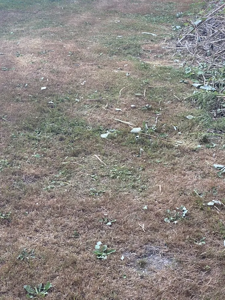 Local garden landscaping for beautiful yards across Black Diamond, WA - Cedar County Landscaping