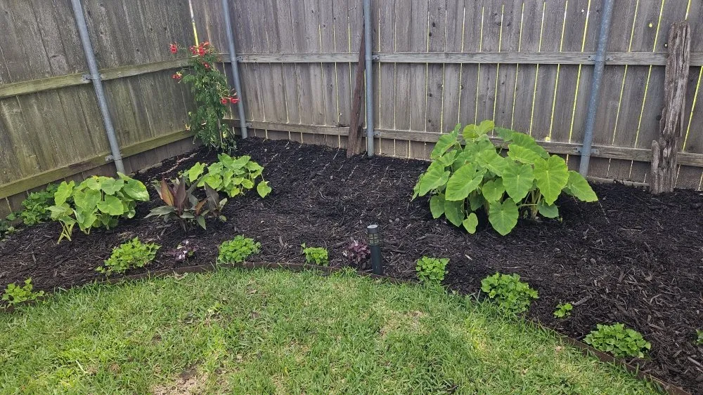 Affordable residential landscaping for beautiful yards across Eustace, TX - Cedar Creek Curb Appeal