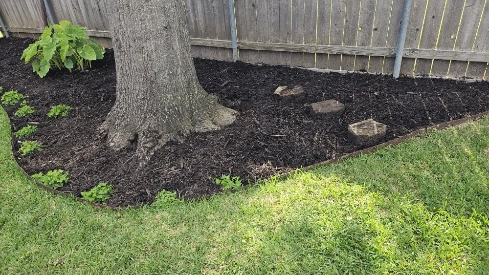 Professional lawn care service in Eustace, TX - Cedar Creek Curb Appeal