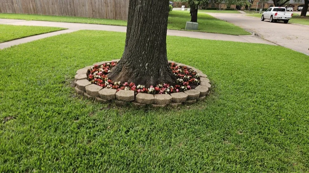 Top-rated landscape installation for beautiful yards across Eustace, TX - Cedar Creek Curb Appeal